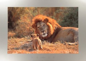 Photo_print_Lion_and_Cub