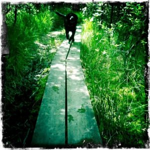 känslor vår mest personliga egendom skadas i alkoholmissbruk